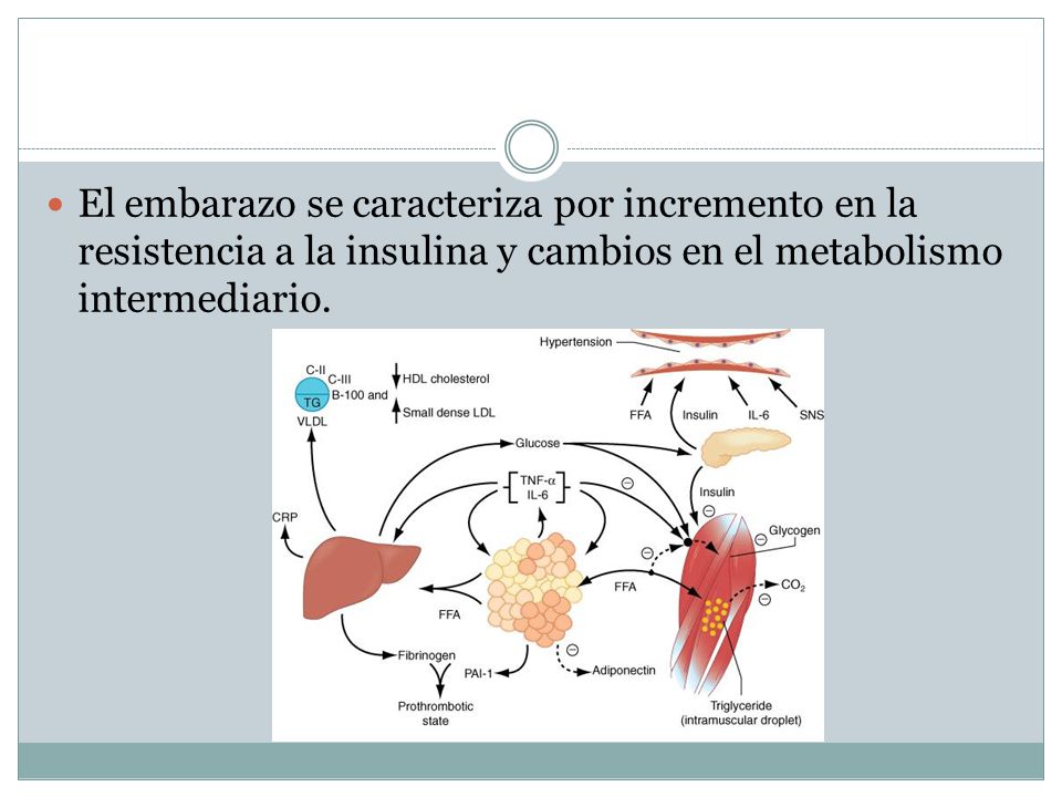 Diabetes Mellitus Gestacional - ppt video online descargar Diabetes Mellitus Gestacional - ppt video online descargar
