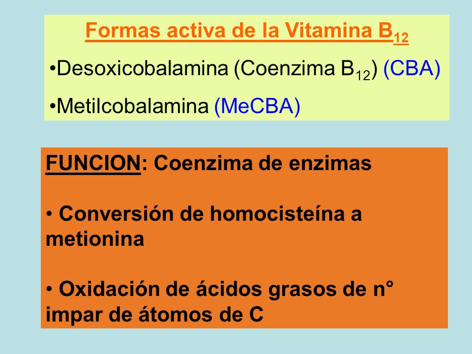 LIC. NUTRICIÓN – ANALISTA BIOLÓGICO QCA. BIOLÓGICA - ppt LIC. NUTRICIÓN – ANALISTA BIOLÓGICO QCA. BIOLÓGICA - ppt