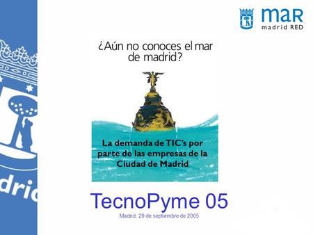 TecnoPyme 05 Madrid, 29 de septiembre de 2005 La demanda de TIC’s por parte de las empresas de la Ciudad de Madrid.