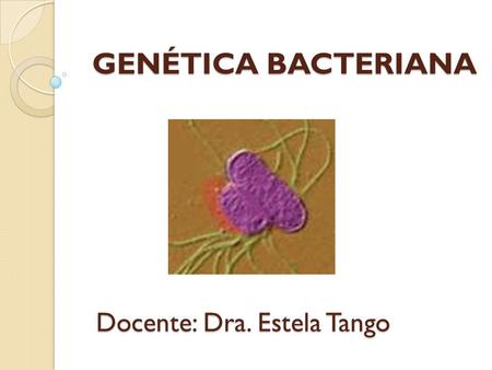 GENÉTICA BACTERIANA Docente: Dra. Estela Tango.