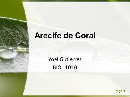 Powerpoint TemplatesPage 1 Arecife de Coral Yoel Gutierrez BIOL 1010.