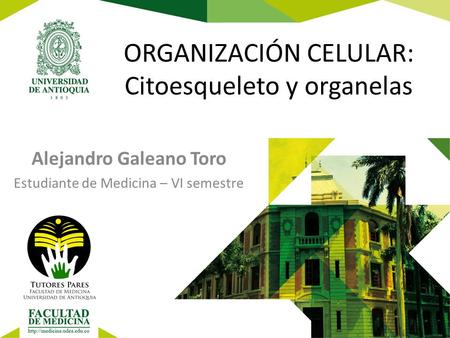ORGANIZACIÓN CELULAR: Citoesqueleto y organelas Alejandro Galeano Toro Estudiante de Medicina – VI semestre.