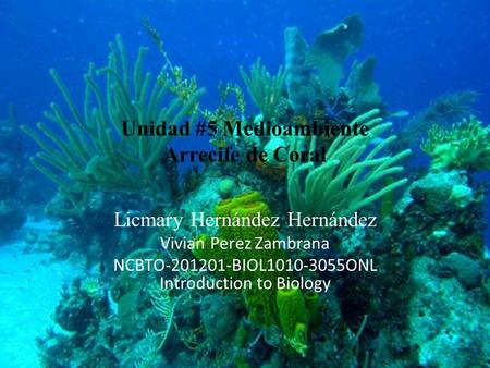 Unidad #5 Medioambiente Arrecife de Coral Licmary Hernández Hernández Vivian Perez Zambrana NCBTO-201201-BIOL1010-3055ONL Introduction to Biology.