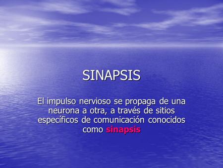 SINAPSIS El impulso nervioso se propaga de una neurona a otra, a través de sitios específicos de comunicación conocidos como sinapsis.