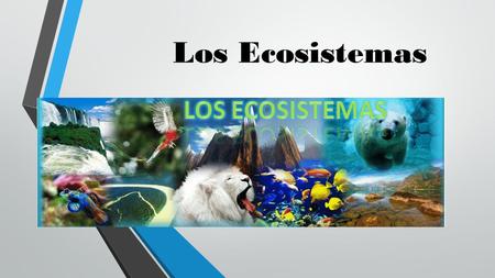 Los Ecosistemas.