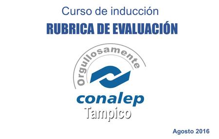 Curso de inducción RUBRICA DE EVALUACIÓN Agosto 2016.