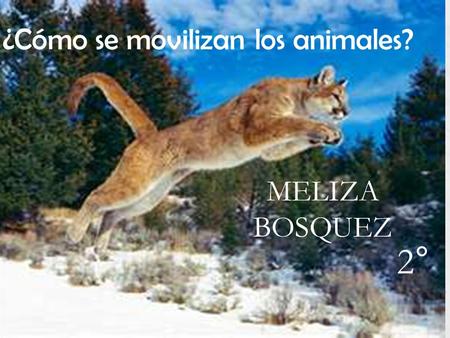 MELIZA BOSQUEZ ¿Cómo se movilizan los animales? 2°