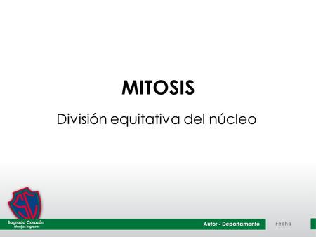 Autor - Departamento Fecha MITOSIS División equitativa del núcleo.