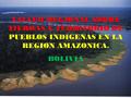 TALLER REGIONAL SOBRE TIERRAS Y TERRITORIO DE PUEBLOS INDIGENAS EN LA REGION AMAZONICA. BOLIVIA.