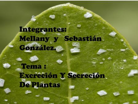 Integrantes: Mellany y Sebastián González. Tema : Excreción Y Secreción De Plantas.