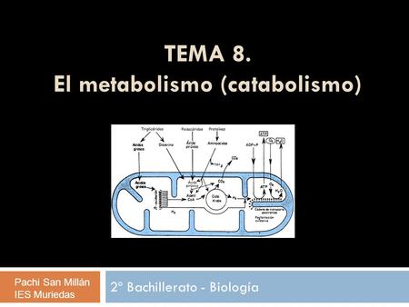 TEMA 8. El metabolismo (catabolismo)