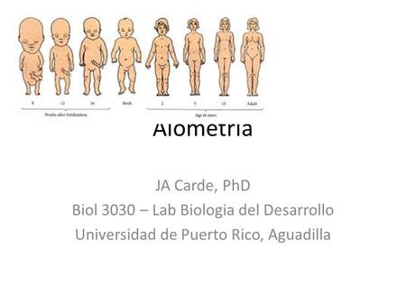 Alometría JA Carde, PhD Biol 3030 – Lab Biologia del Desarrollo