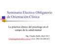 Seminario Electivo Obligatorio de Orientación Clínica La práctica clínica del psicólogo en el campo de la salud mental Mg. Claudia Baffo Abril 2013
