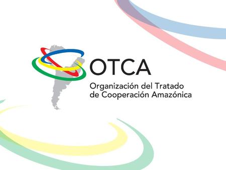 LA PARTICIPACION DE LA OTCA EN LA COP 20 Antonio Matamoros Coordinador de Medio Ambiente SP/OTCA - Lima 31 de octubre de 2014 -