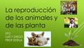 6TO LUIS Y DIEGO PROF ESTELA La reproducción de los animales y de las planta.