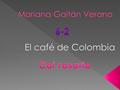  El café (coffea) de Colombia es una Indicación Geográfica Protegida, la cual fue reconocida en forma oficial por la Unión Europea el 27 de septiembre.