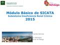 Módulo Básico de SICATA Subsistema Insuficiencia Renal Crónica 2015 Laura Fuentes Sánchez UGC Nefrología H. Regional de Málaga.