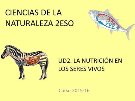 CIENCIAS DE LA NATURALEZA 2ESO Curso 2015-16 UD2. LA NUTRICIÓN EN LOS SERES VIVOS.