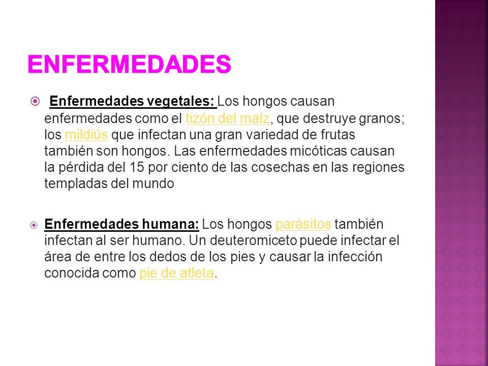 Como a la persona librarse de los parásitos en el organismo