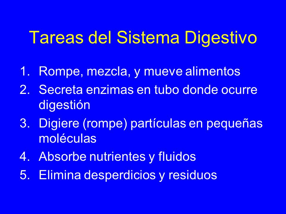 Digestión y Nutrición Humana - ppt descargar Digestión y Nutrición Humana - ppt descargar
