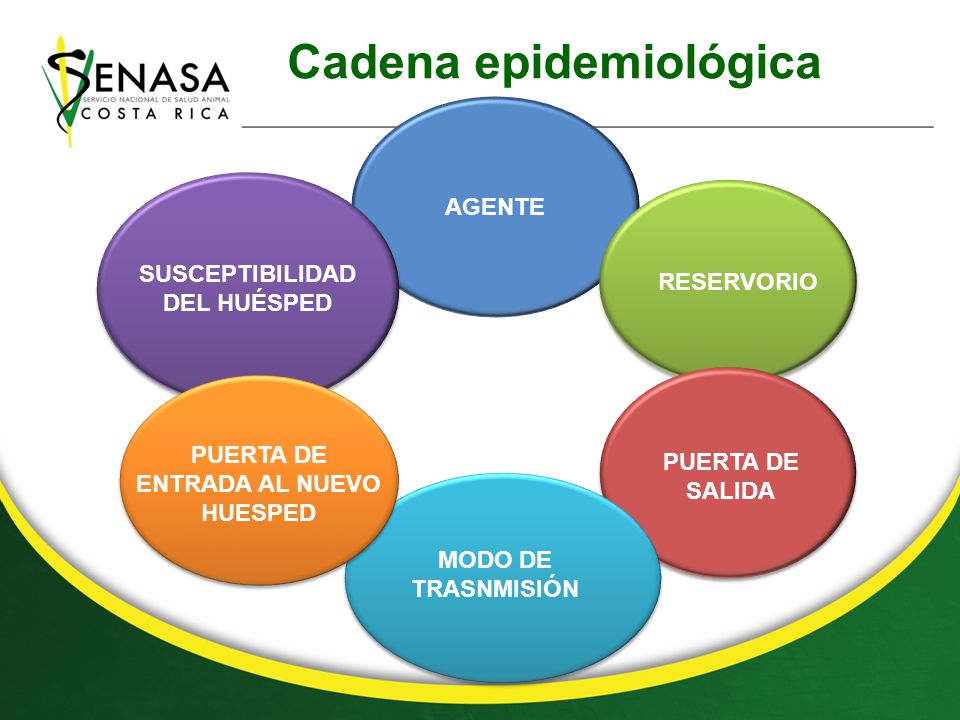 cadena epidemiologica reservorio curso de epidemiolog 205 a b 193 sica 1 el enfoque epidemiol 243 gico cadena epidemiologica reservorio curso de epidemiolog 205 a b 193 sica 1 el enfoque epidemiol 243 gico