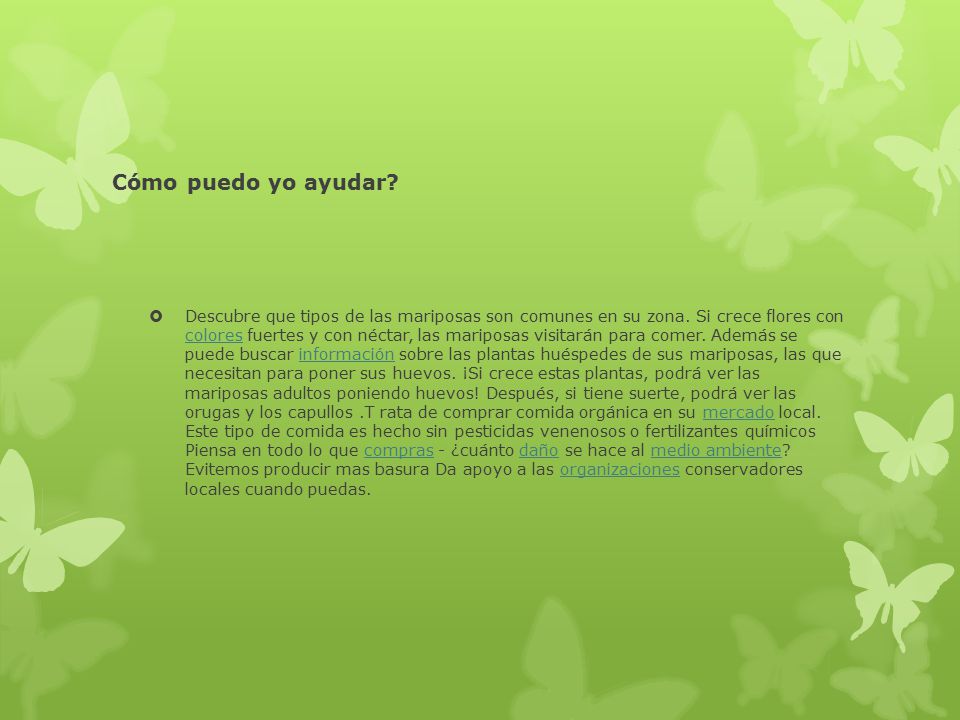 mariposas las mariposas insectos su cuerpo est 225 formado por tres partes cabeza t 243 rax y mariposas las mariposas insectos su cuerpo est 225 formado por tres partes cabeza t 243 rax y