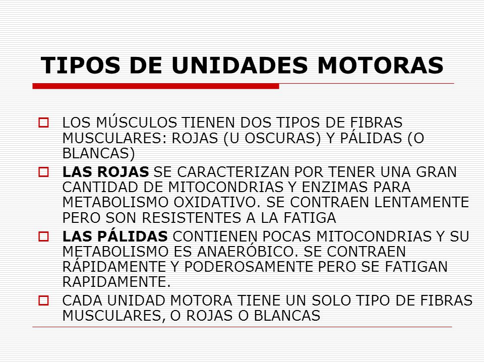 NEUROFISIOLOGIA UNIDAD MOTORA - ppt video online descargar NEUROFISIOLOGIA UNIDAD MOTORA - ppt video online descargar