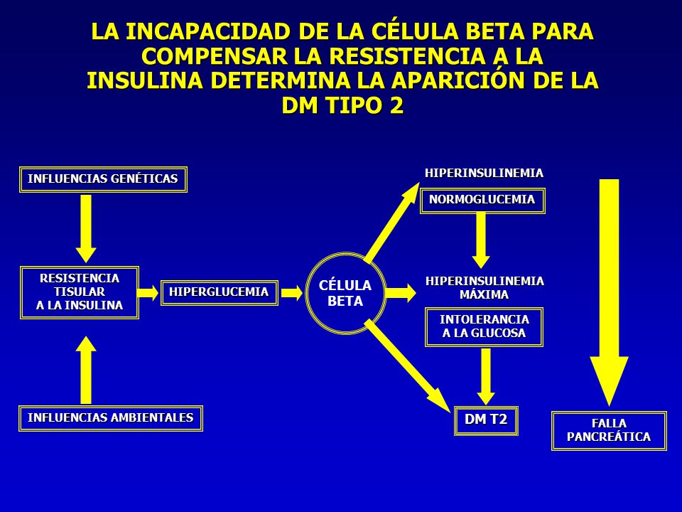 Agentes orales para tratamiento de la diabetes - ppt descargar Agentes orales para tratamiento de la diabetes - ppt descargar
