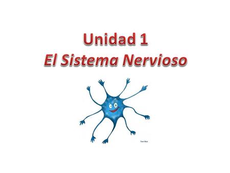 Unidad 1 El Sistema Nervioso.