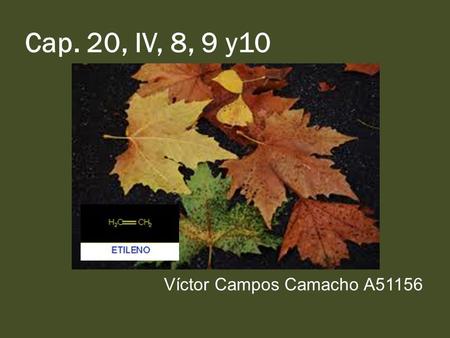 Cap. 20, IV, 8, 9 y10 Víctor Campos Camacho A51156.