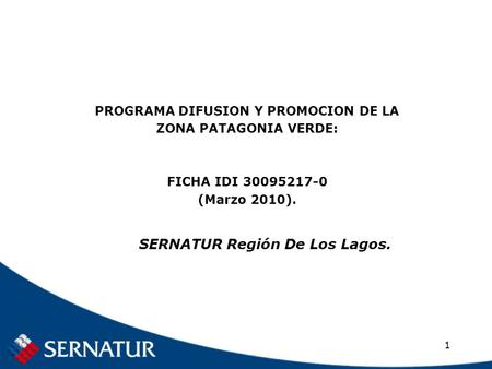 1 PROGRAMA DIFUSION Y PROMOCION DE LA ZONA PATAGONIA VERDE: FICHA IDI 30095217-0 (Marzo 2010). SERNATUR Región De Los Lagos.