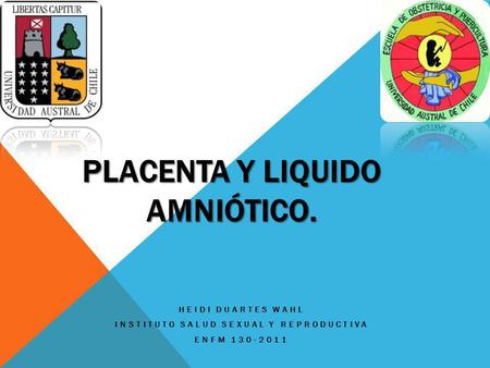 Placenta y liquido amniótico.