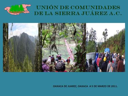 OAXACA DE JUAREZ, OAXACA A 5 DE MARZO DE 2011. UNIÓN DE COMUNIDADES DE LA SIERRA JUÁREZ A.C.