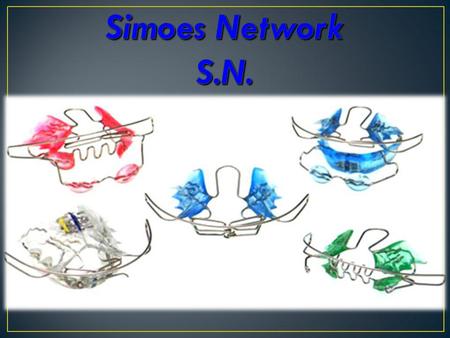 Simoes Network S.N..
