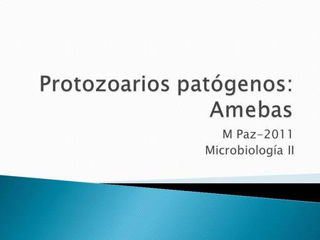 Protozoarios patógenos: Amebas