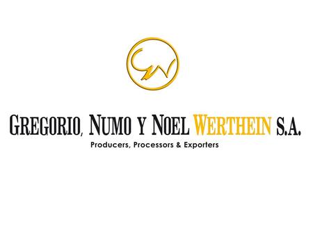 Gregorio, Numo y Noel Werthein S.A. :
