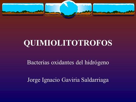 Bacterias oxidantes del hidrógeno Jorge Ignacio Gaviria Saldarriaga