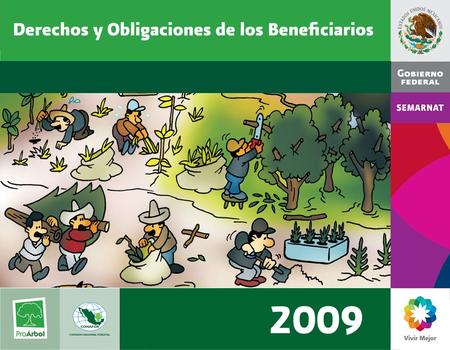 Objetivos de ProÁrbol Disminuir la pobreza y marginación en áreas forestales Generar desarrollo y expansión económica Impulsar la planeación y organización,