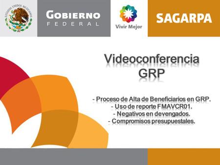 Videoconferencia GRP Proceso de Alta de Beneficiarios en GRP.