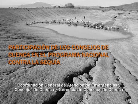 Participación de los Consejos de Cuenca en el Programa Nacional Contra la Sequía Coordinación General de Atención de Emergencias y Consejos de Cuenca /