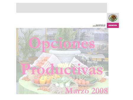 Opciones Productivas Marzo 2008. Descripción El Programa busca elevar las condiciones de vida de las personas y las familias mediante el apoyo a proyectos.