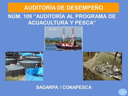 AUDITORÍA DE DESEMPEÑO NÚM. 109 AUDITORÍA AL PROGRAMA DE ACUACULTURA Y PESCA SAGARPA / CONAPESCA 1.