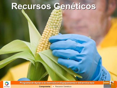 Programa de Apoyo a la Inversión en Equipamiento e Infraestructura Componente: Recursos Geneticos 1 Recursos Genéticos.