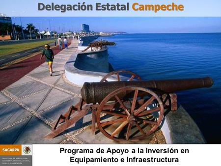 Programa de Apoyo a la Inversión en Equipamiento e Infraestructura Delegación Estatal Campeche Programa de Apoyo a la Inversión en Equipamiento e Infraestructura.