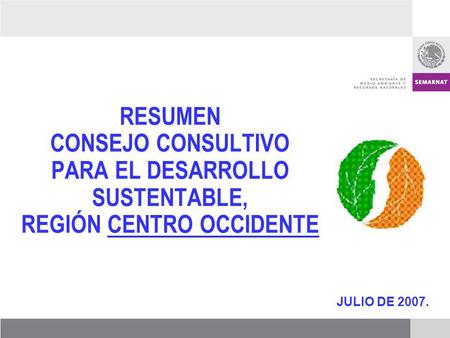 JULIO DE 2007. RESUMEN CONSEJO CONSULTIVO PARA EL DESARROLLO SUSTENTABLE, REGIÓN CENTRO OCCIDENTE.