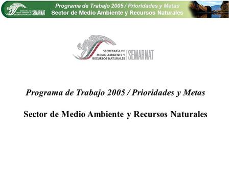 Programa de Trabajo 2005 / Prioridades y Metas Sector de Medio Ambiente y Recursos Naturales Programa de Trabajo 2005 / Prioridades y Metas Sector de Medio.