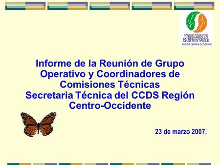 Informe de la Reunión de Grupo Operativo y Coordinadores de Comisiones Técnicas Secretaria Técnica del CCDS Región Centro-Occidente 23 de marzo 2007.