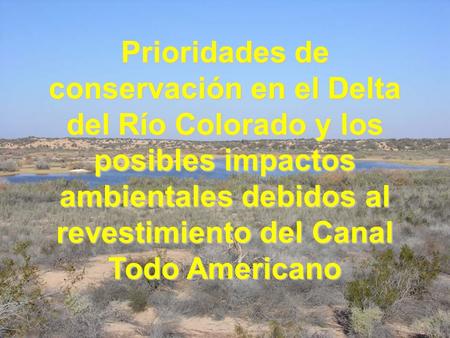 Prioridades de conservación en el Delta del Río Colorado y los posibles impactos ambientales debidos al revestimiento del Canal Todo Americano.