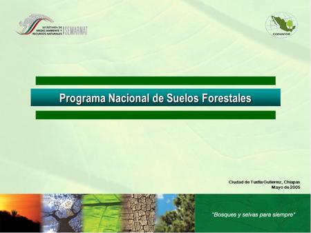 Programa Nacional de Suelos Forestales