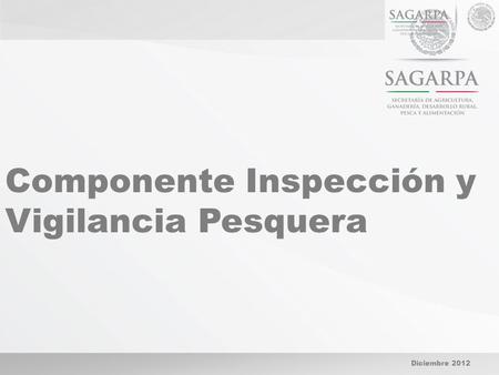 Diciembre 2012 Componente Inspección y Vigilancia Pesquera.